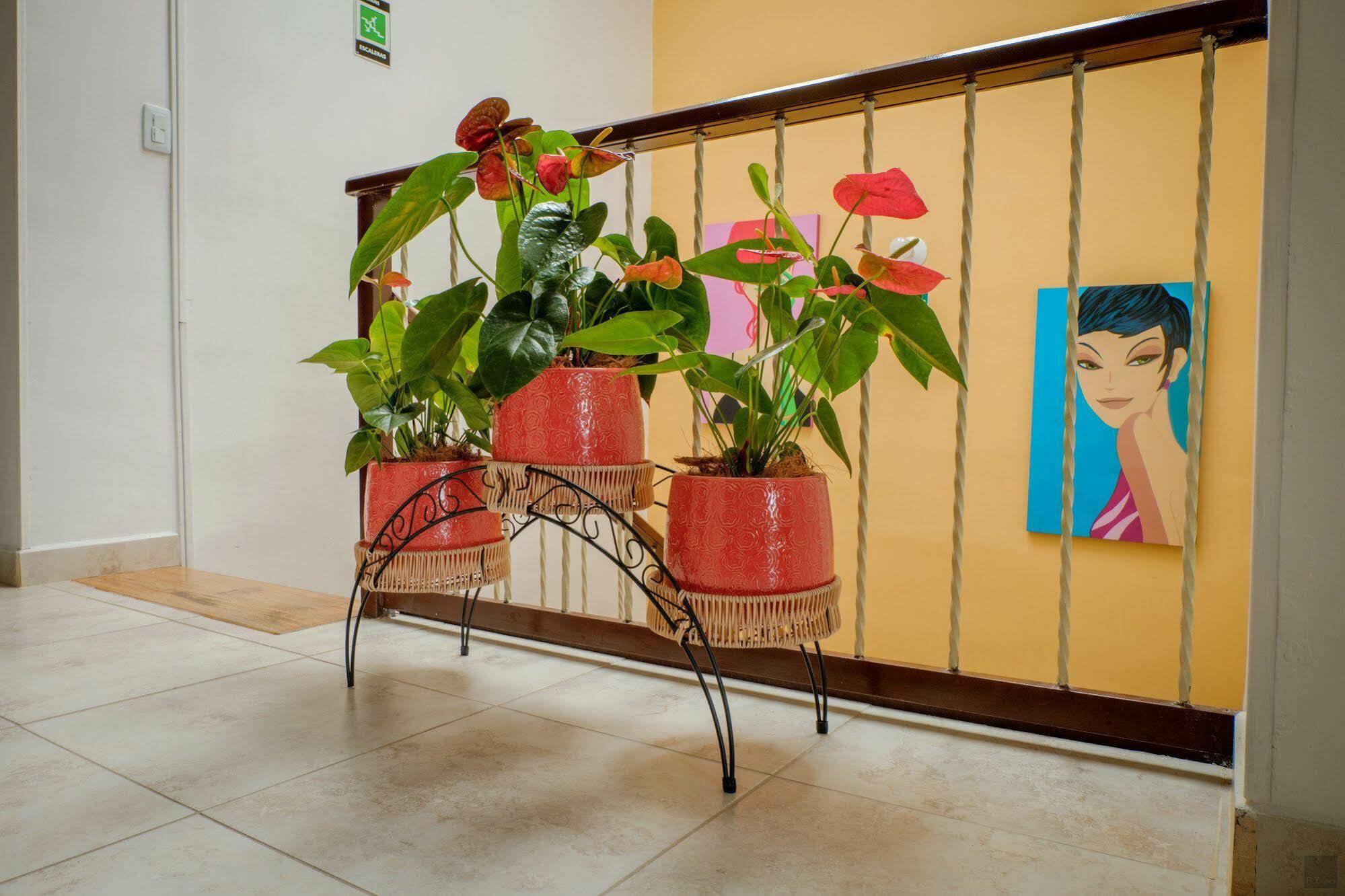 Casa Borbon Ξενοδοχείο Σαλέντο Εξωτερικό φωτογραφία